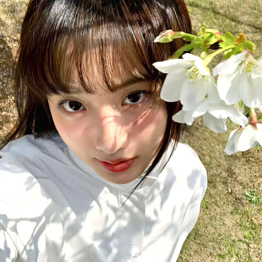 津门飞鹰